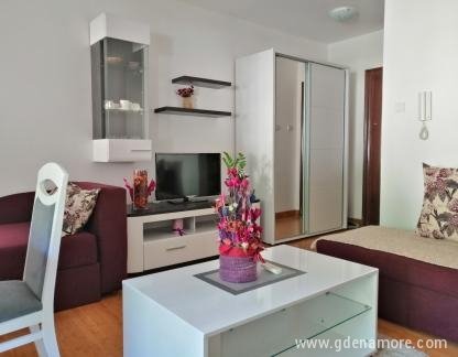 Appartement Milica, logement privé à Budva, Monténégro - IMG-040b48f133758c1b7183ddcaba4f8cf1-V